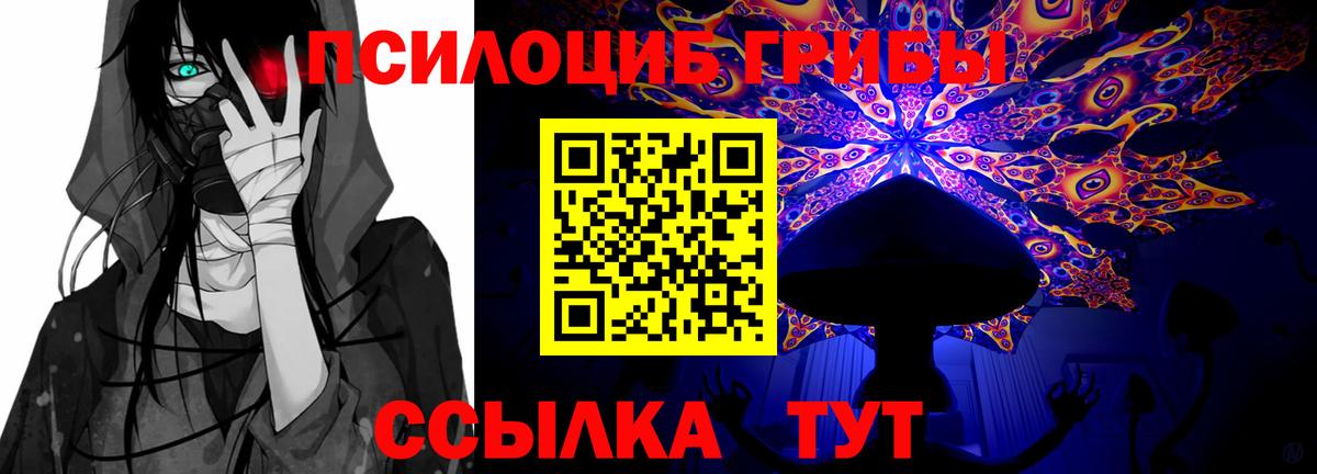 Галлюциногенные грибы Psilocybine cubensis Муравленко